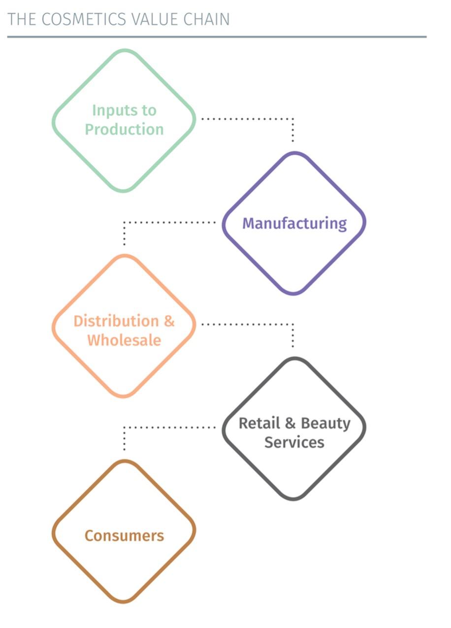 The cosmetics value chain