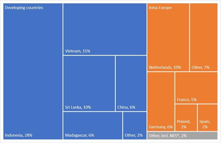 Main suppliers of cinnamon to Europe