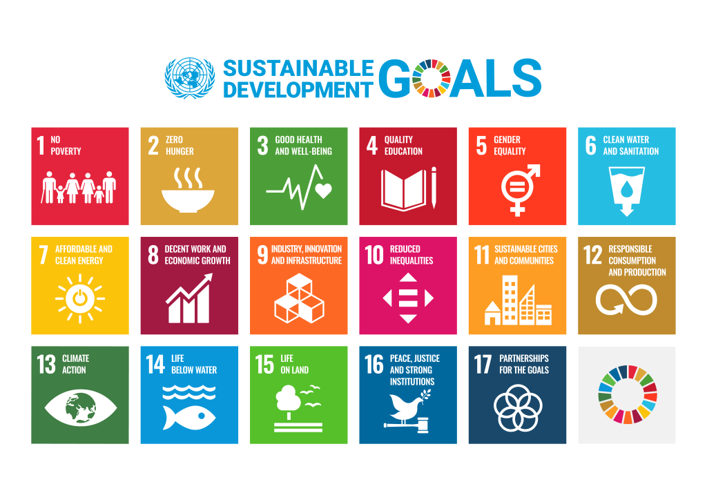 The UN Sustainable Development Goals (SDGs)