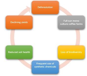 ycle of deforestation