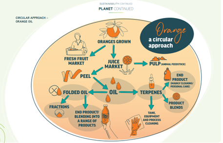 EU Green Deal focus areas