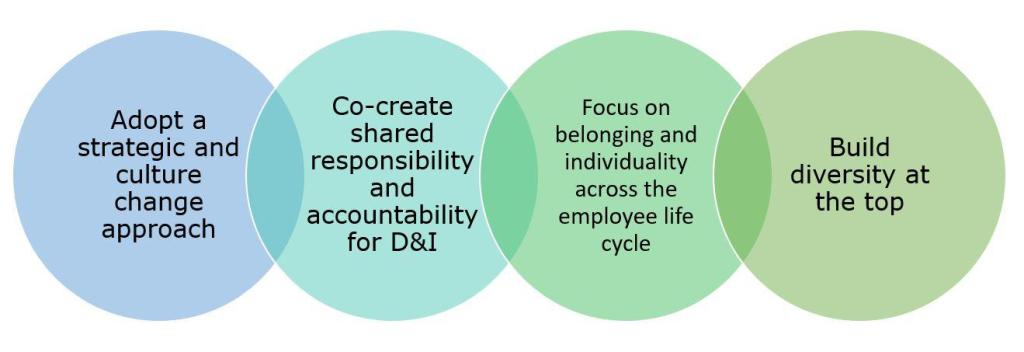 Four principles for achieving transformational change on Diversity and Inclusion (D&I)