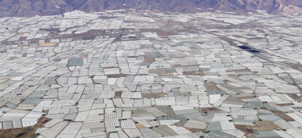 Greenhouse tomato and other vegetable production in Almeria