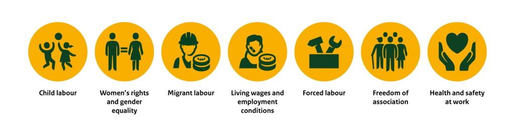 Main human rights risk in the fresh fruit and vegetables supply chain