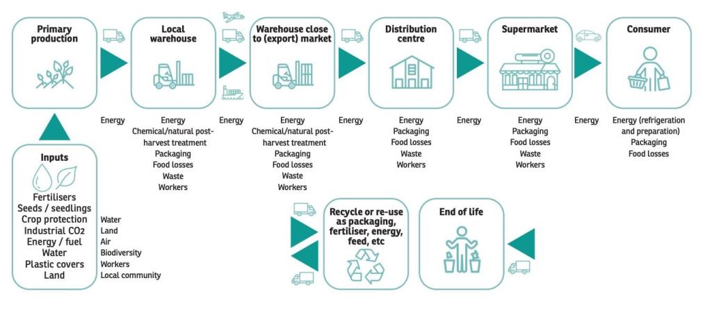 Sustainability impacts along the fresh fruit and vegetables supply chain (not exhaustive)