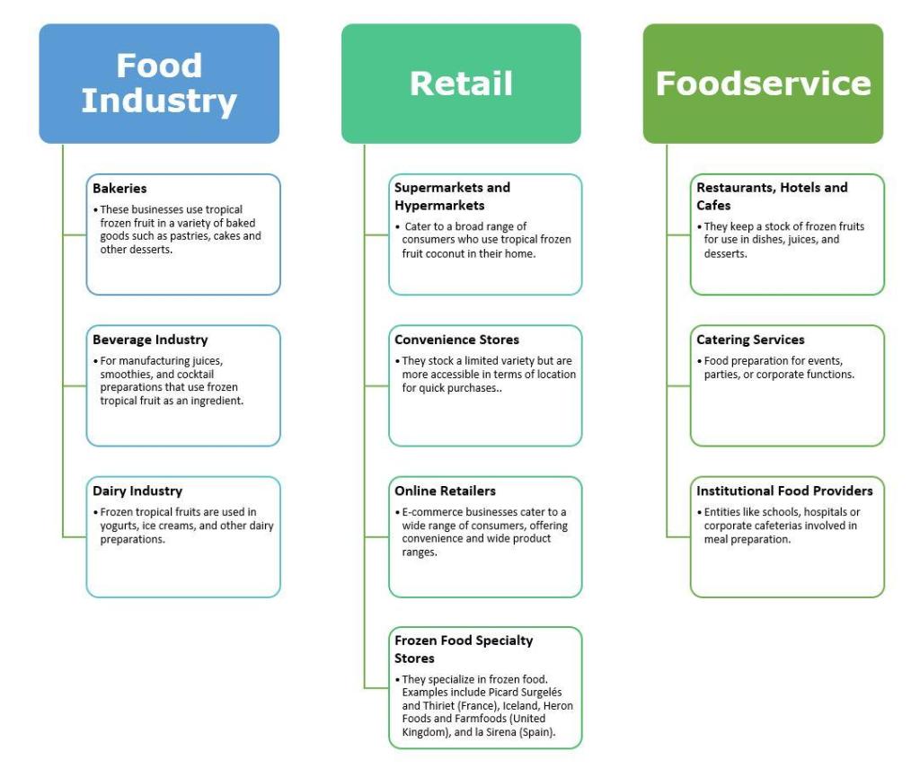 End-market segments for tropical frozen fruit in Europe