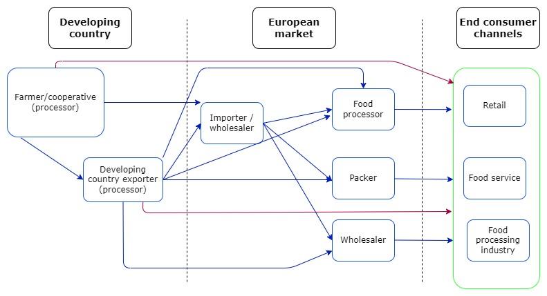 European market channels for tropical frozen fruit