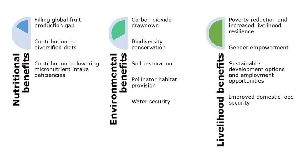 Overview of the nutritional, environmental and livelihood benefits