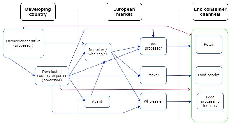 European market channels for dried mango 