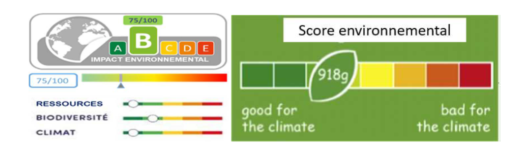 Possible environmental labelling formats