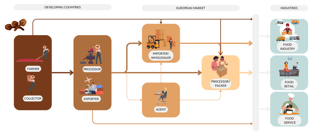 Trade channels for cloves in Europe