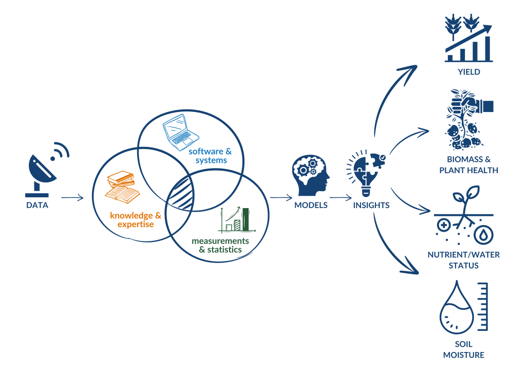 From satellite data to valuable insights