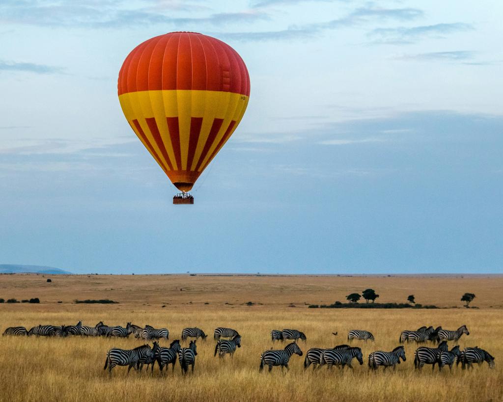  https://unsplash.com/photos/red-and-yellow-hot-air-balloon-over-field-with-zebras-kjOBqwMUnWw