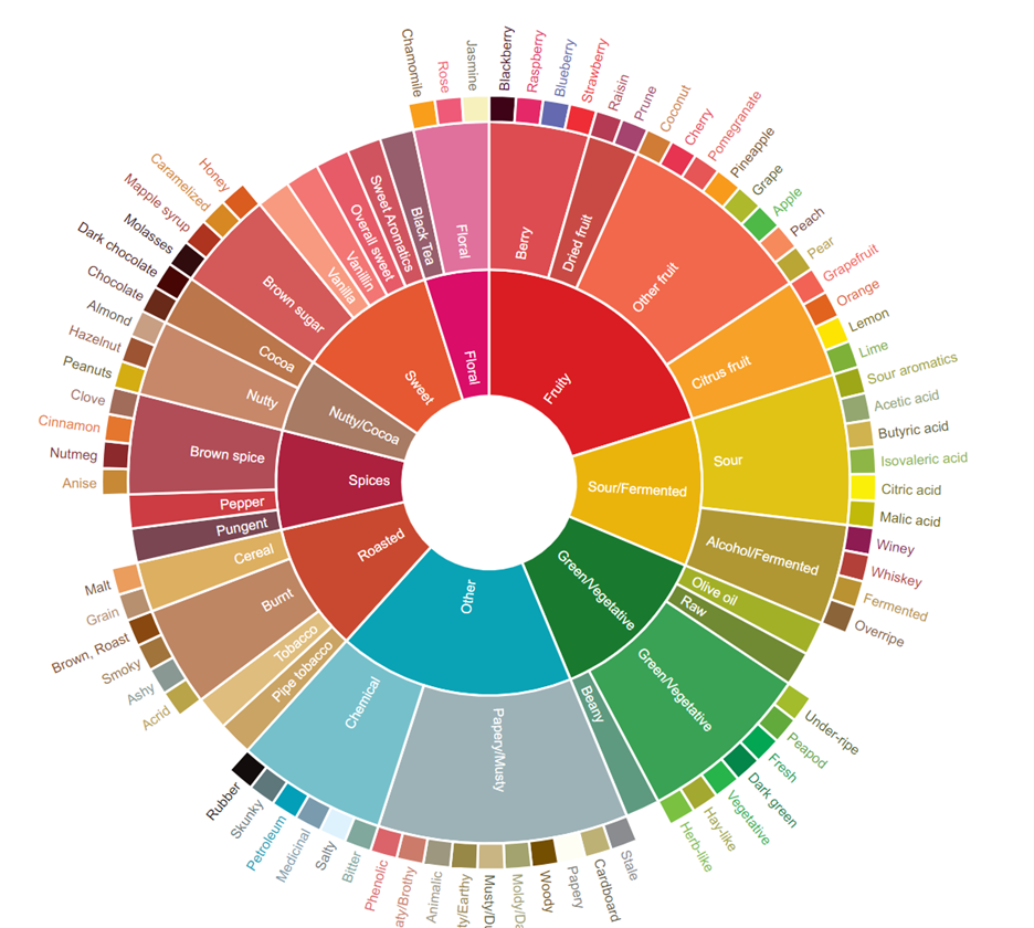  SCA Coffee Taster’s Flavour Wheel