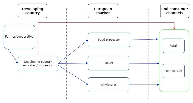 European market channels for canned fruits and vegetables 