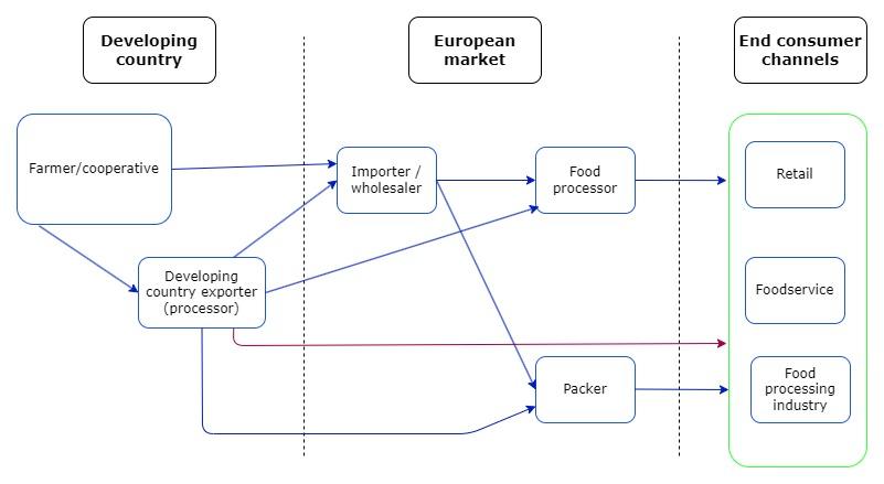 European market channels for frozen berries