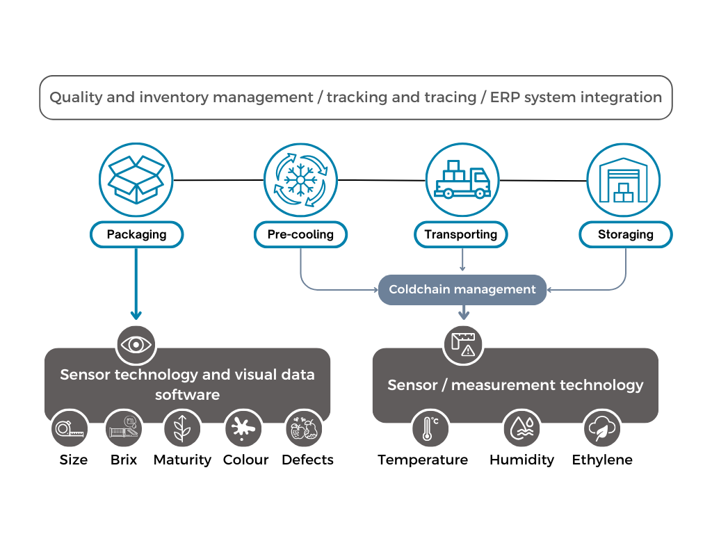 Digital technologies support of post-harvest processes