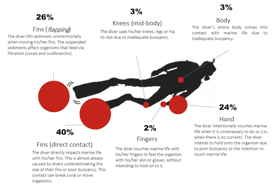 Data collected by DiveStat on diver-related damage in the Galápagos Islands