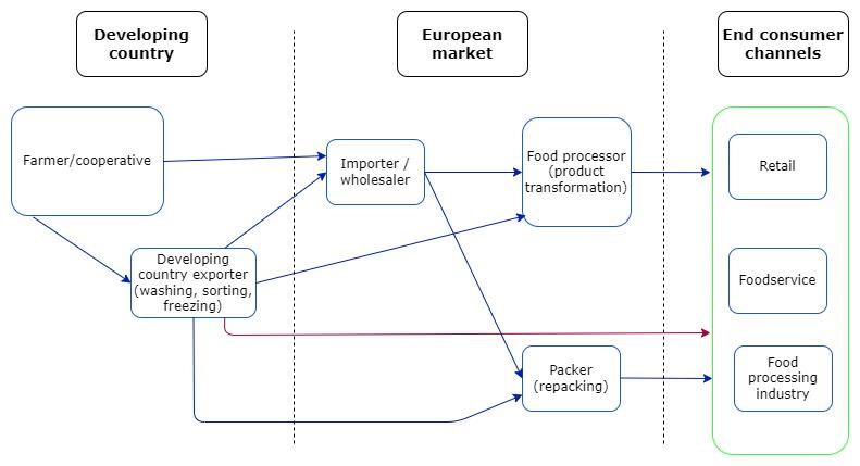 European market channels for frozen vegetables