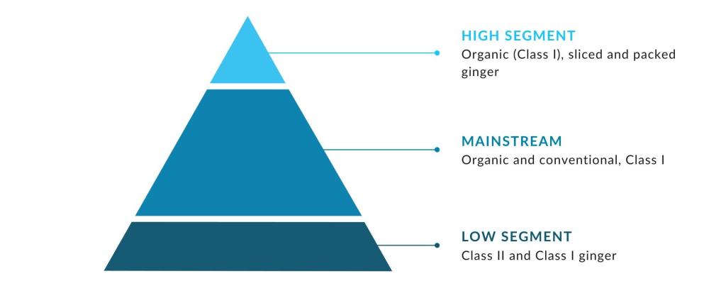 Figure 1: Market segments for fresh ginger in Europe