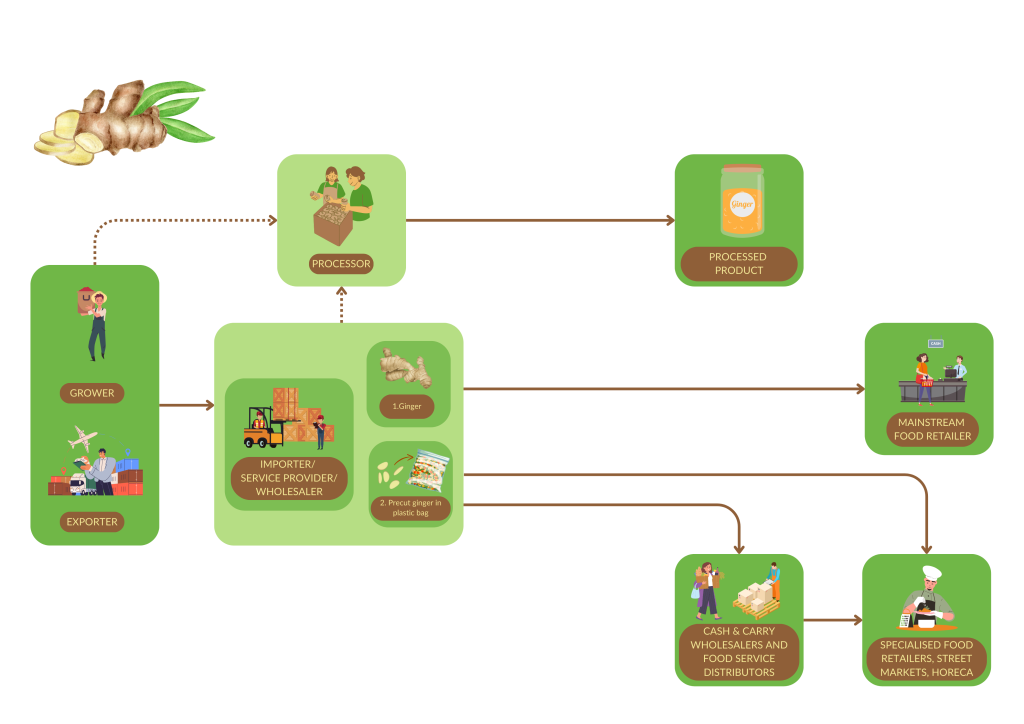 Market channels for fresh ginger to Europe