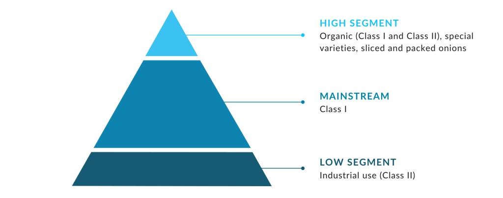  Market segments for fresh onions in Europe