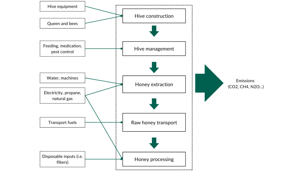 xample of a system boundary diagram of honey production and processing