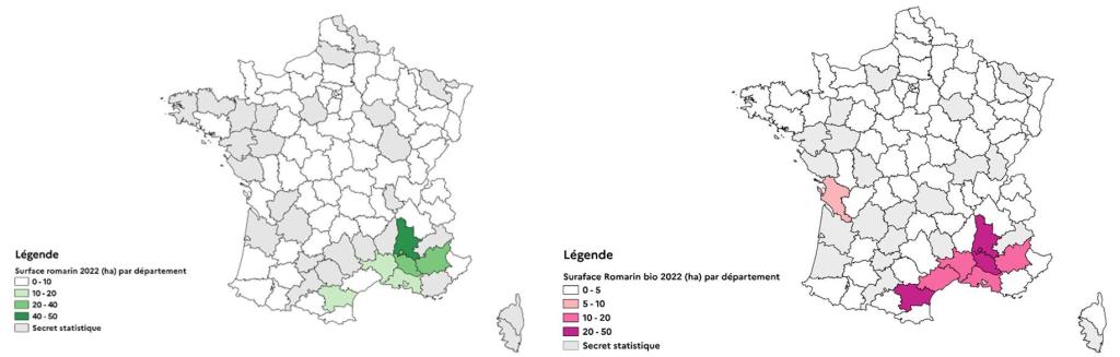 Locations of rosemary crops in France in 2022 