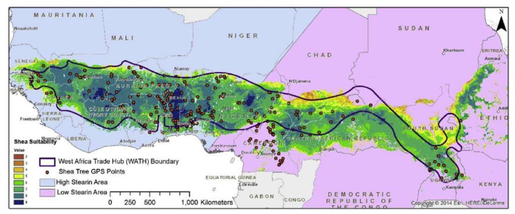 Detailed map of the shea belt