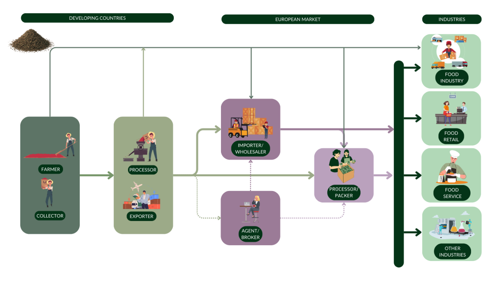 Figure 5: Market channels for dried thyme to Europe