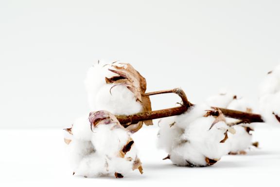 NIKIN  Organic Cotton & Recycled Polyester vs. Conventional Material -  NIKIN EU