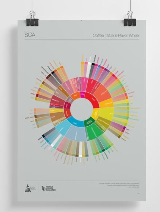 SCA Coffee Taster’s Flavor Wheel