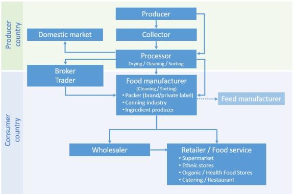 Simplified overview of key European market channels for dried lentils