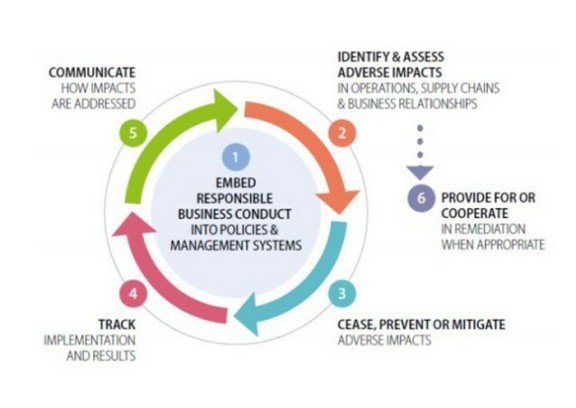 The six steps of the human rights due diligence process 