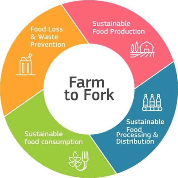 The Farm to Fork (F2F) strategy in short