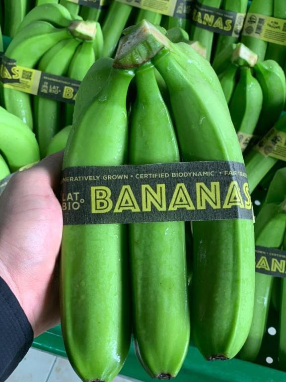 Regeneratively grown and biodynamic certified bananas from Latbio, Ecuador