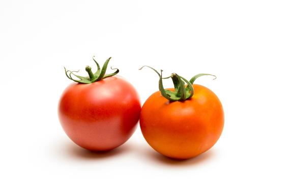 FFV-Tomatoes