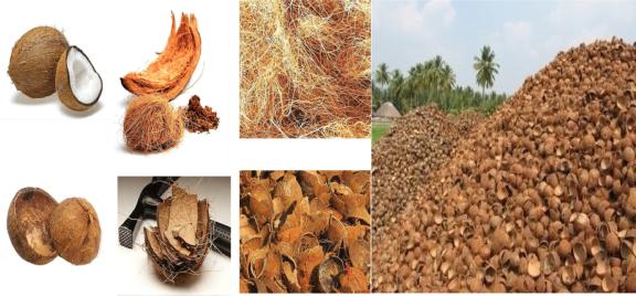 Coconut biomass for energy generation 
