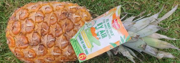 Figure 4: Del Monte Cold – Extra Sweet Pineapple BY AIR
