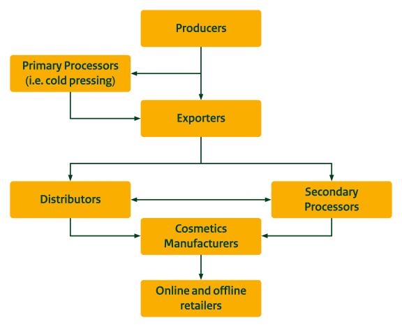 Main European distribution channels for moringa oil