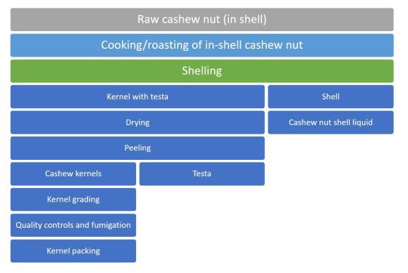 Stages of processing raw cashew fruit