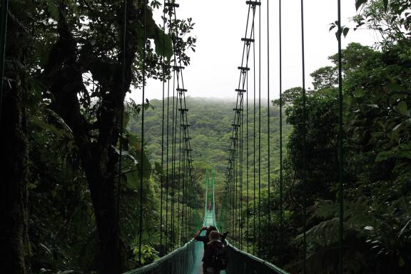 Nature tourism and ecotourism in Costa Rica’s rainforests