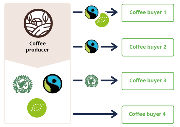 Schematic representation of coffee production and sales under multiple VSS