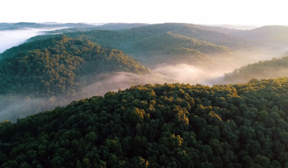 Efforts in Europe to make leather more sustainable are concentrated on reducing chemical use during tanning and dying, alternative materials and preventing deforestation