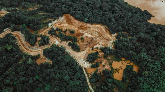 Deforestation is one of the main drivers of climate change and biodiversity loss