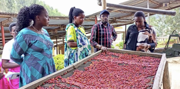 Sholi cooperative in Rwanda