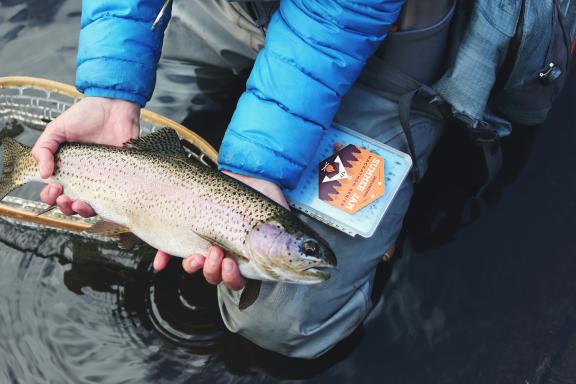 Measuring and weighing fish before release is part of the fishing experience