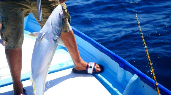 Landing a catch at Baja California, Mexico 