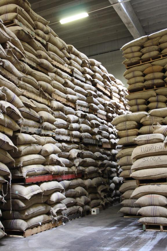 Cocoa stored in bulk and in bags