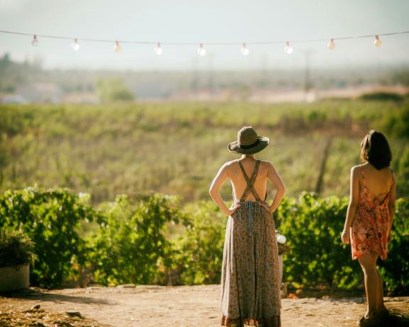 Visiting vineyards are popular agritourism activities for Europeans